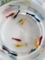 Preview: Neocaridina 20er Mix Paket